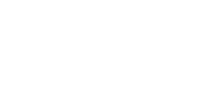 AAUP Professional Association
