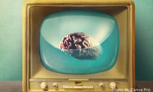 vintage television shows image of a brain with water covering half of it